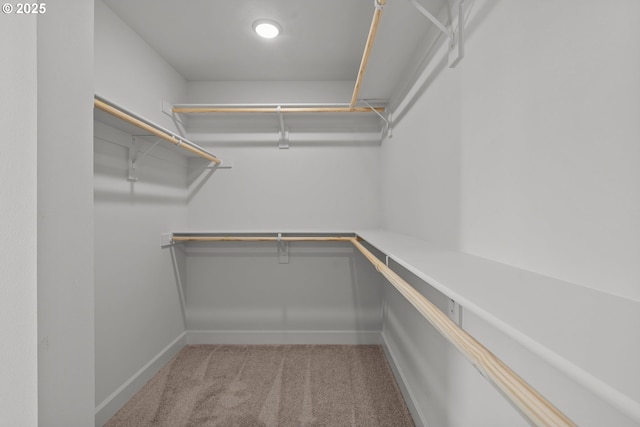 walk in closet featuring light colored carpet