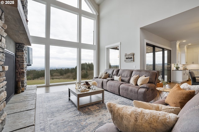 living room featuring hardwood / wood-style floors, a wealth of natural light, a high ceiling, and sink