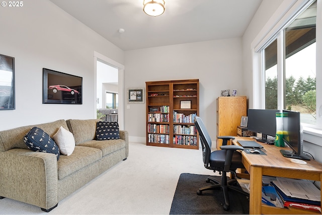 carpeted office space with a wealth of natural light