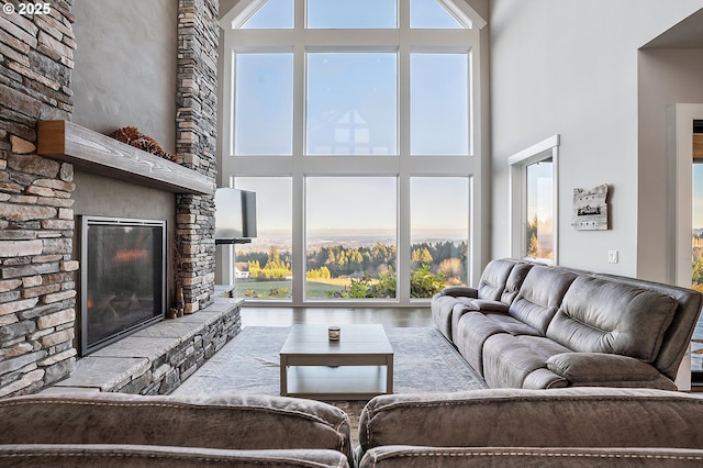 living room with a stone fireplace and hardwood / wood-style flooring