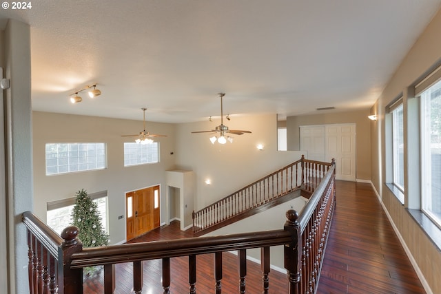 stairs with hardwood / wood-style floors