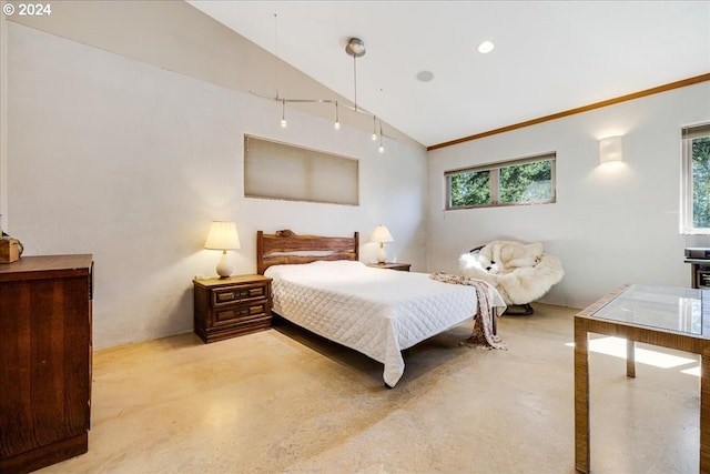 bedroom featuring ornamental molding, vaulted ceiling, and multiple windows