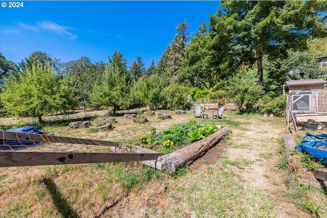 view of yard featuring a shed