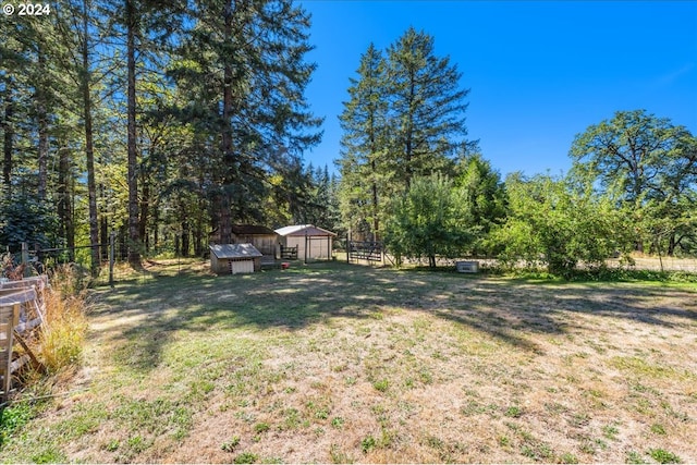 view of yard with a storage shed