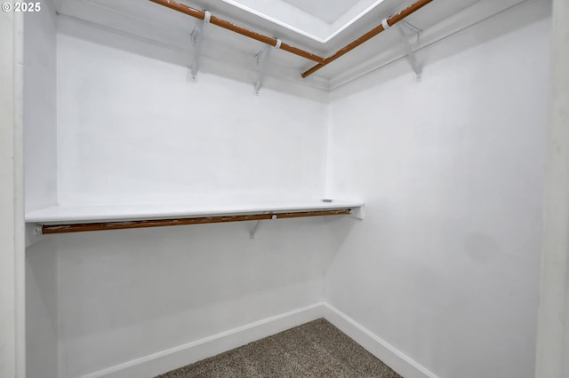 walk in closet featuring carpet floors