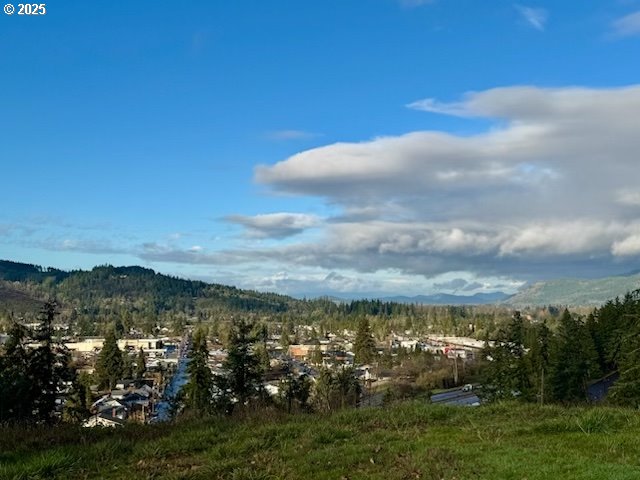 870 Kristen Way, Cottage Grove, OR 97424 - mountain view with a wooded view