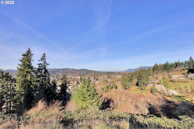 870 Kristen Way, Cottage Grove, OR 97424 - mountain view
