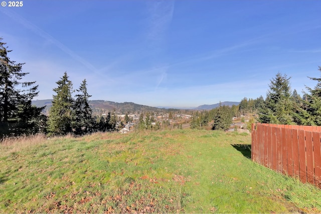 view of yard featuring a mountain view