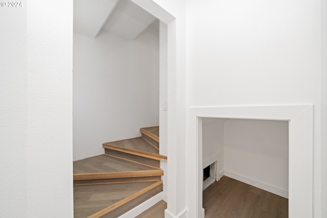 stairs with hardwood / wood-style flooring