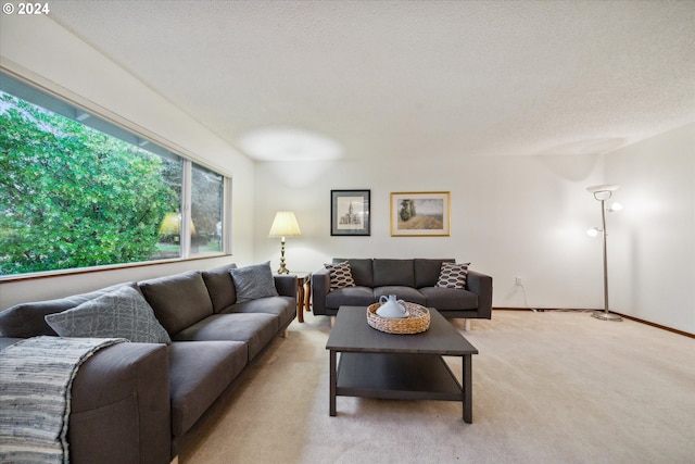 living room with light colored carpet and a textured ceiling