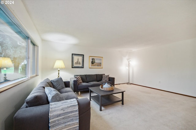 living room with light carpet