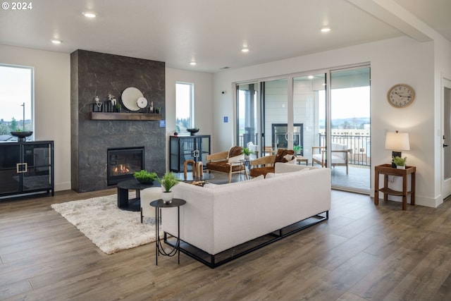 living room featuring a wealth of natural light, a premium fireplace, and hardwood / wood-style flooring