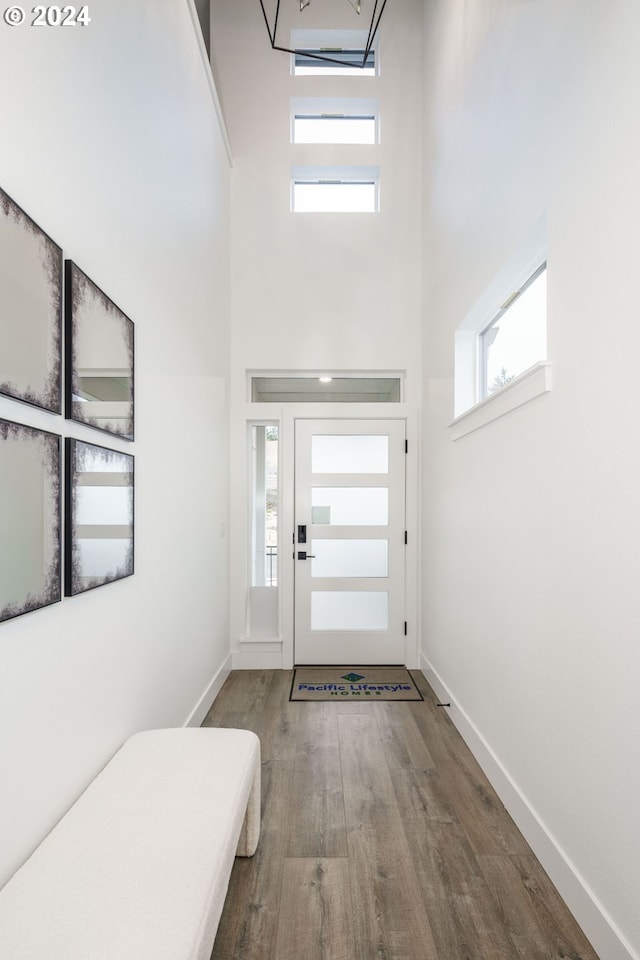 entrance foyer featuring wood-type flooring and a towering ceiling