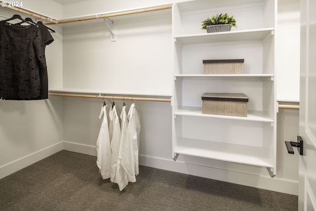 spacious closet with dark colored carpet