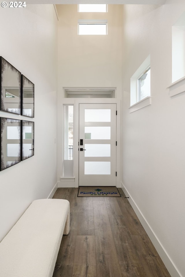 entrance foyer featuring a towering ceiling and dark wood-type flooring