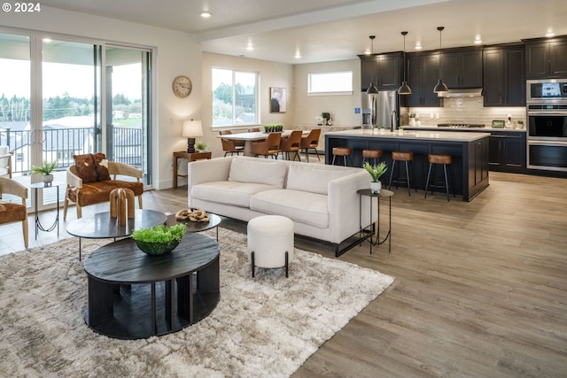 living room featuring light hardwood / wood-style flooring