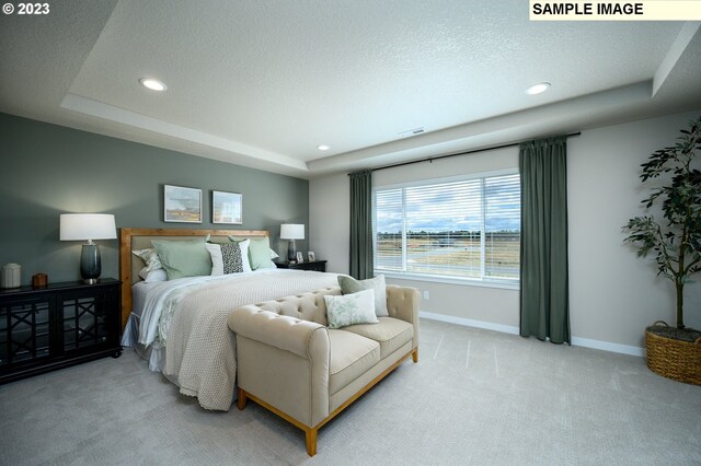 living area featuring a raised ceiling and light carpet