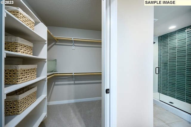 spacious closet with light carpet