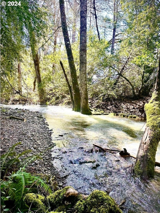 view of landscape featuring a wooded view