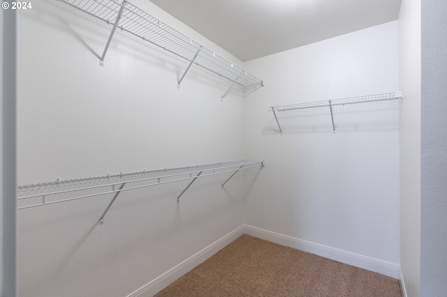 walk in closet with light colored carpet