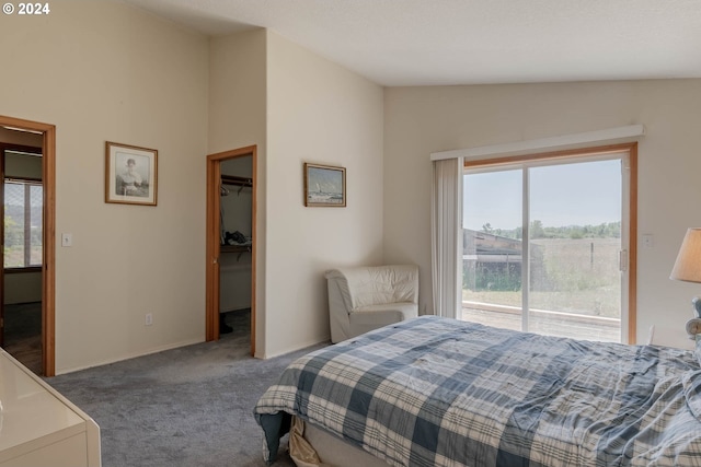 carpeted bedroom with lofted ceiling, a spacious closet, access to exterior, and a closet