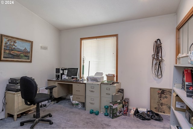 view of carpeted home office