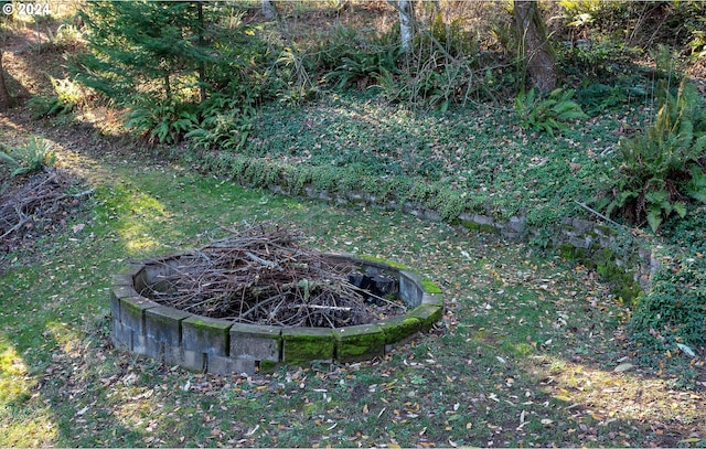 view of yard with an outdoor fire pit