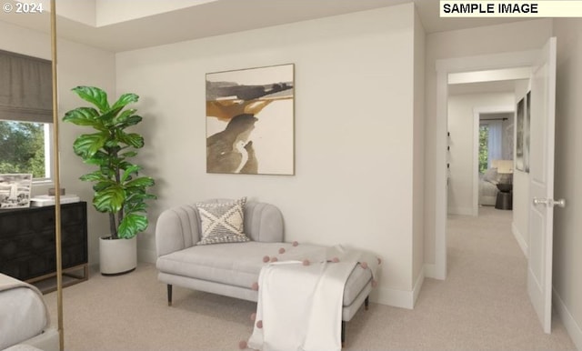 living area with light colored carpet and a wealth of natural light