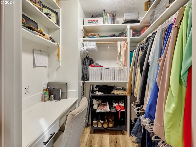 walk in closet with light wood-type flooring