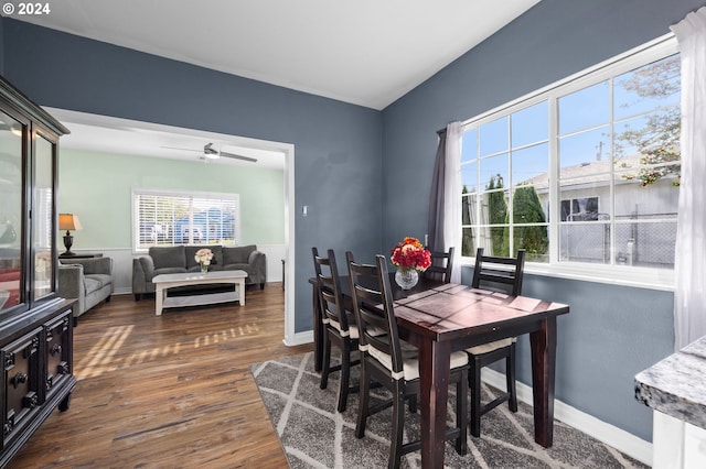 dining room with ceiling fan and dark hardwood / wood-style flooring