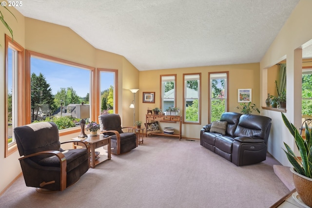 living room with carpet floors, vaulted ceiling, and a textured ceiling