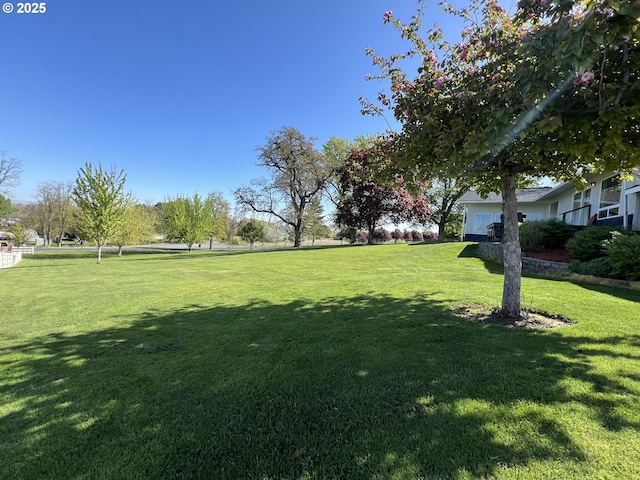 1082 E Highland Ave, Hermiston, OR 97838 - view of green lawn