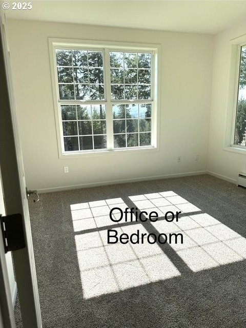 carpeted empty room featuring a healthy amount of sunlight and baseboards