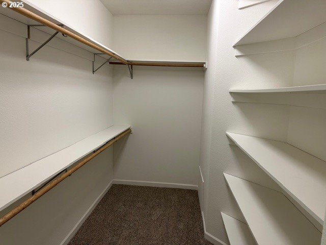 spacious closet with carpet flooring