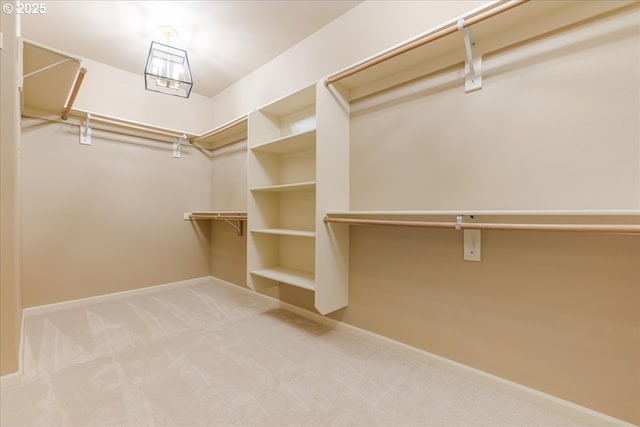 8614 SW Logan Ln, Tualatin, OR 97062 - walk in closet featuring carpet flooring