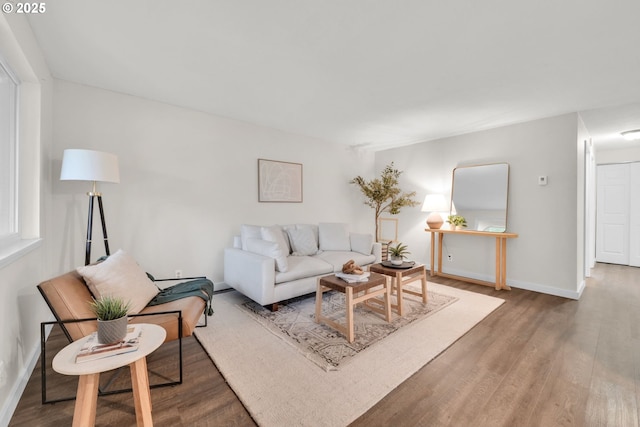 living room featuring baseboards and wood finished floors