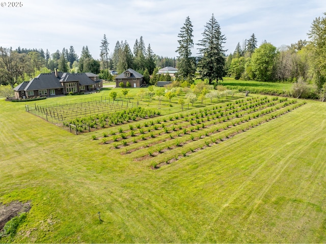view of yard with a rural view and fence
