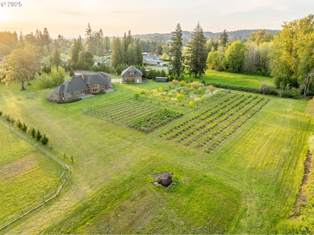 bird's eye view with a rural view