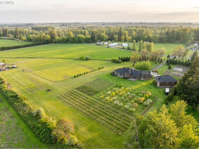 aerial view with a rural view