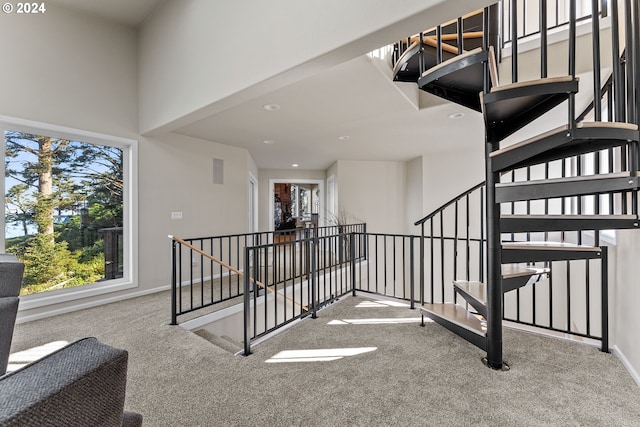 stairs with carpet flooring and a high ceiling