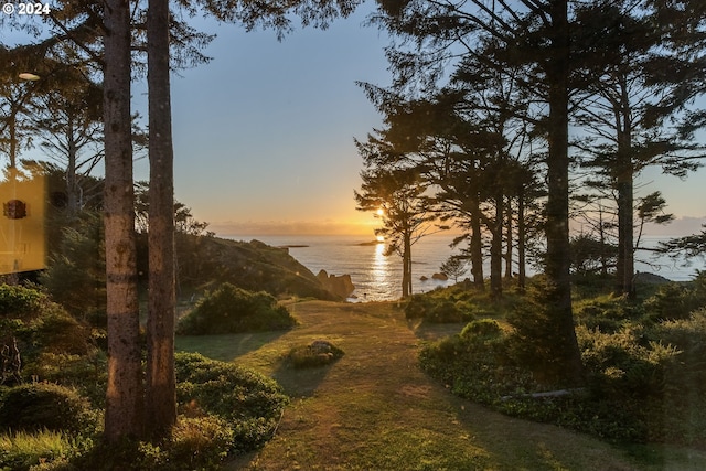 nature at dusk featuring a water view