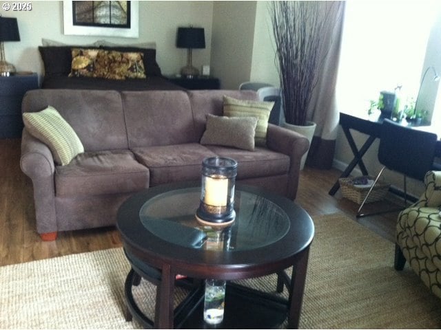 living area featuring wood finished floors