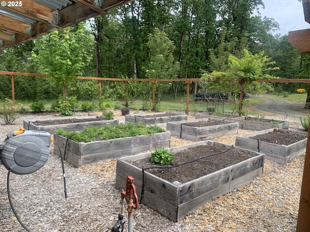 24945 Oak Ln, Elmira, OR 97437 - view of yard featuring a garden