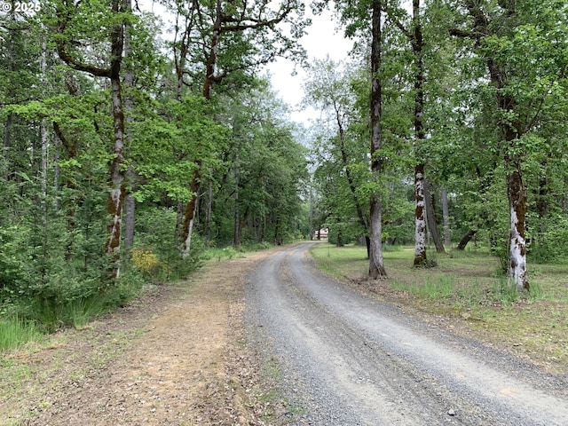 24945 Oak Ln, Elmira, OR 97437 - view of dirt / gravel road featuring a view of trees