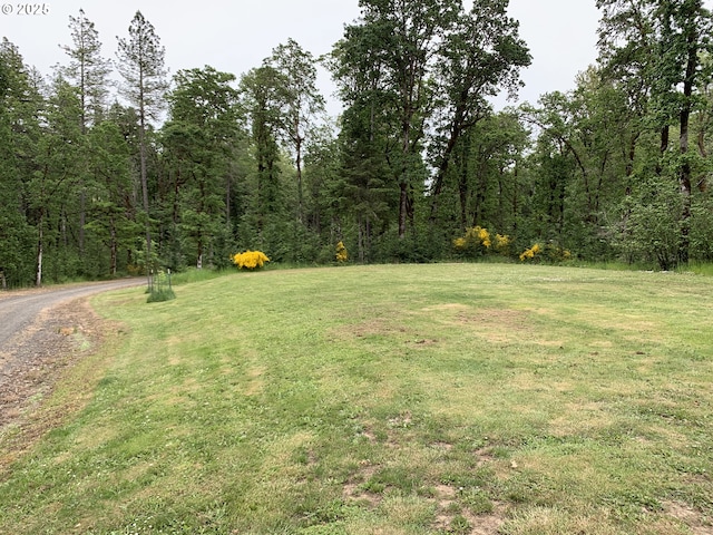 24945 Oak Ln, Elmira, OR 97437 - view of grassy yard