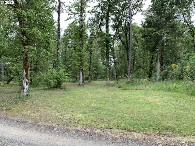 24945 Oak Ln, Elmira, OR 97437 - view of tree filled area