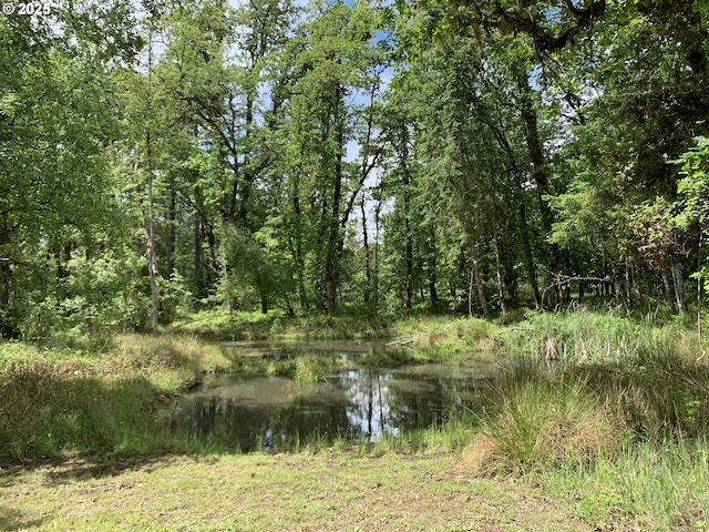 24945 Oak Ln, Elmira, OR 97437 - view of local wilderness featuring a nearby body of water