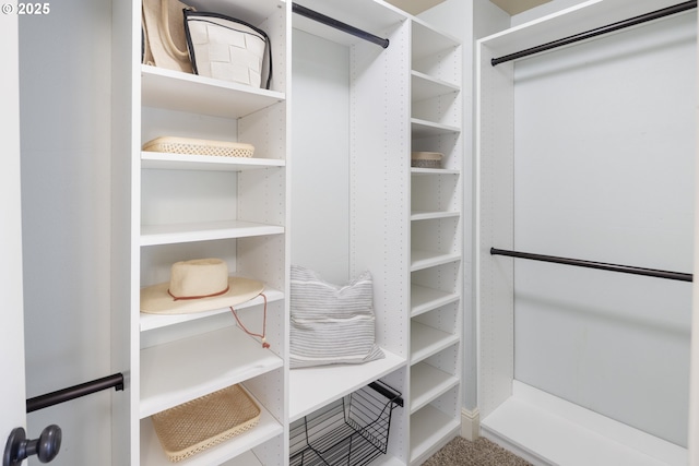 209 NE Fargo St, Portland, OR 97212 - view of walk in closet