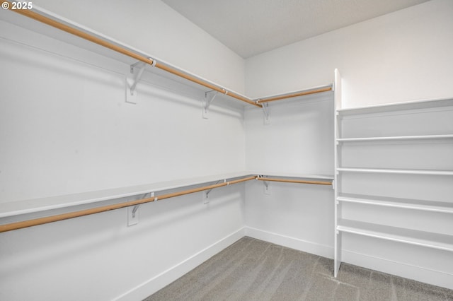 11723 NW Sadie St, Portland, OR 97229 - walk in closet with light carpet