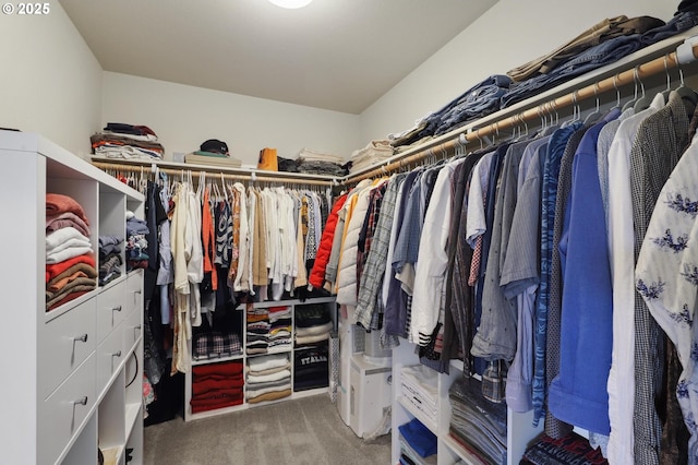 14878 NW Olive St, Portland, OR 97229 - spacious closet featuring carpet floors